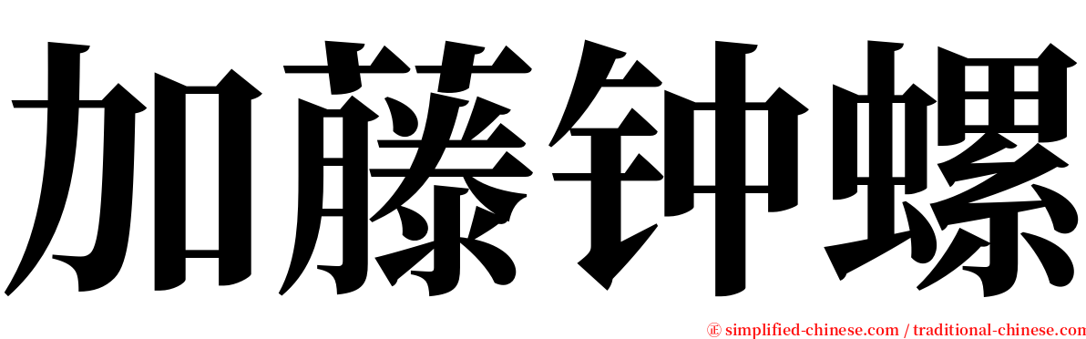 加藤钟螺 serif font