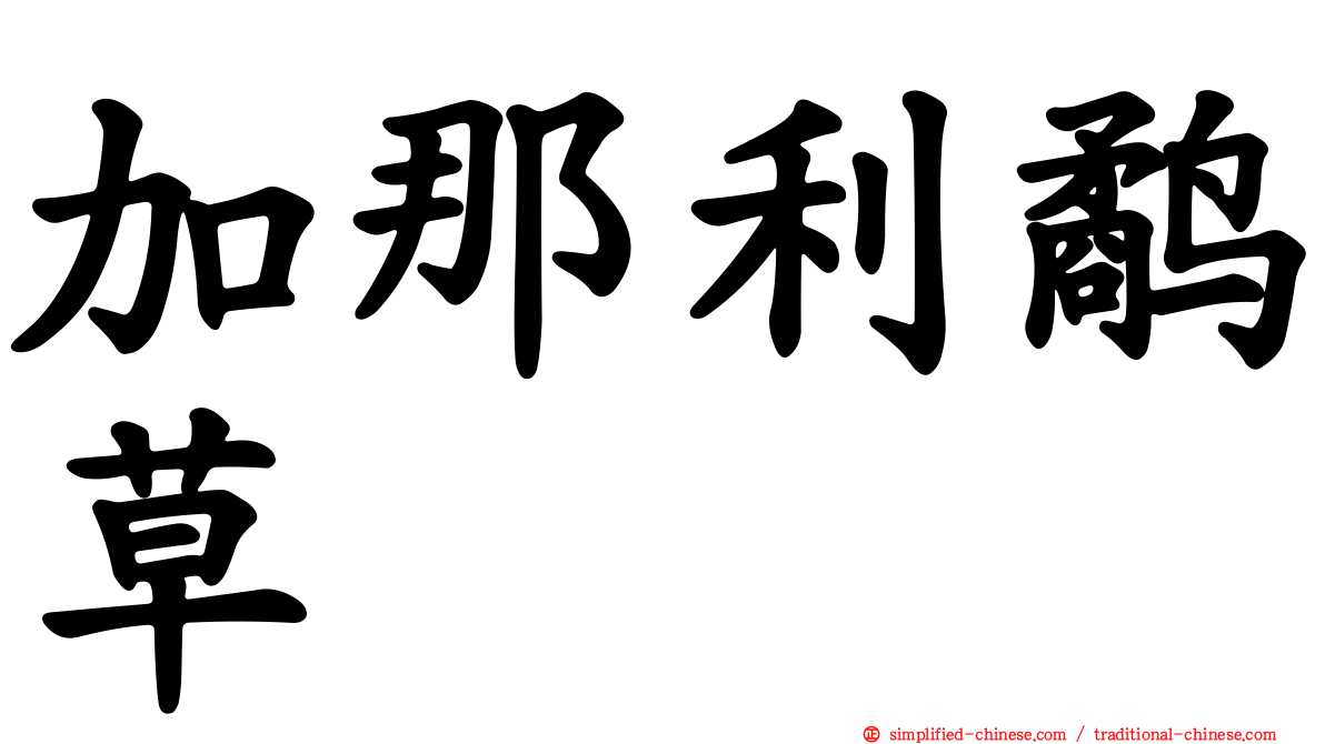 加那利鹬草