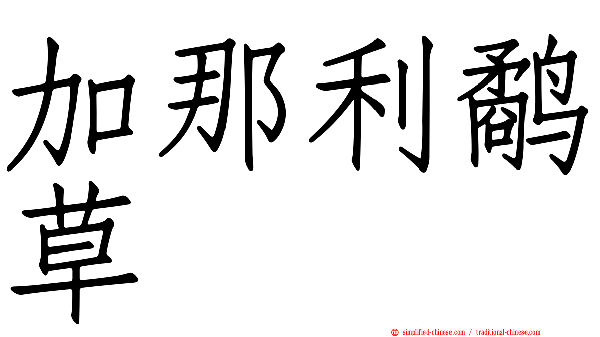 加那利鹬草