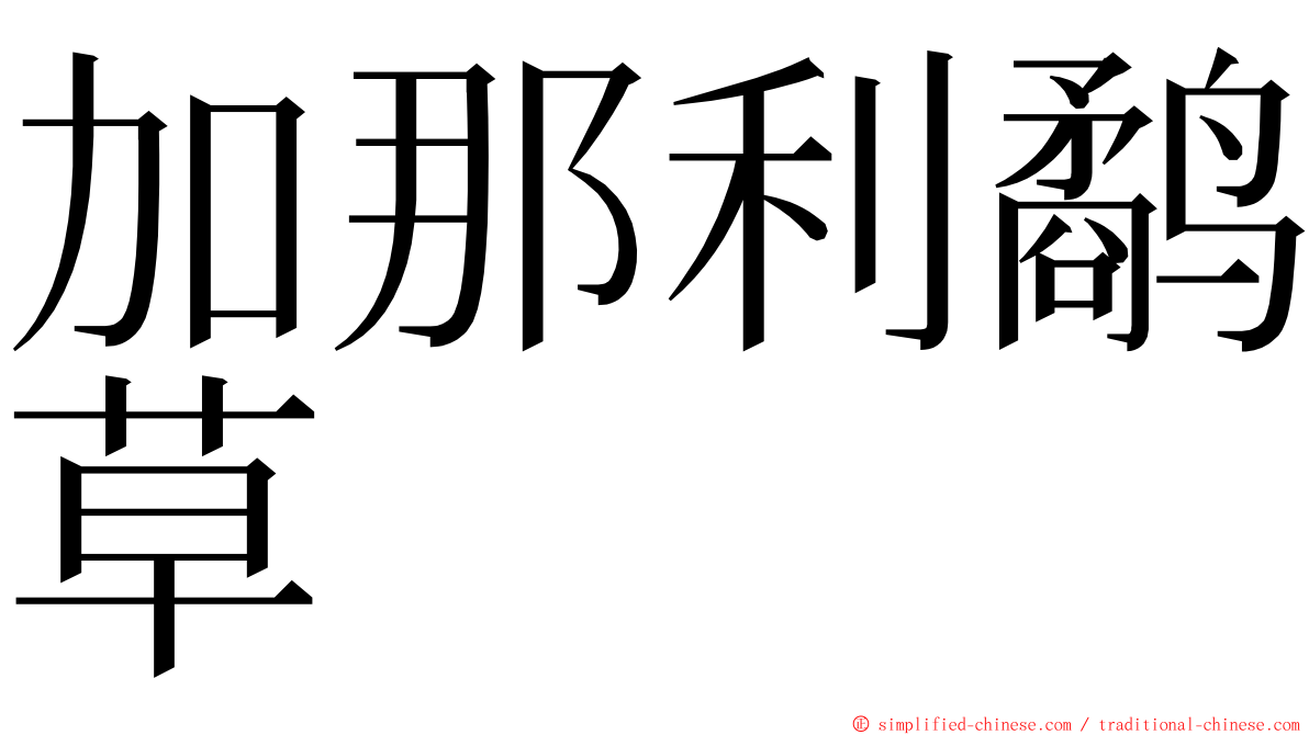 加那利鹬草 ming font