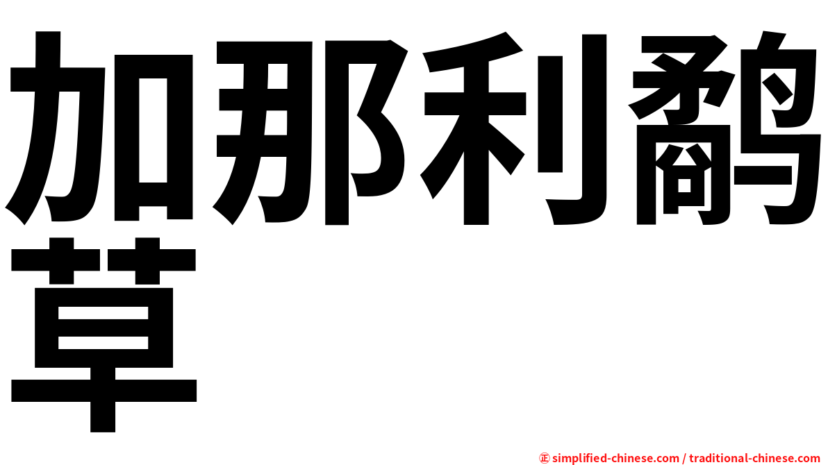 加那利鹬草