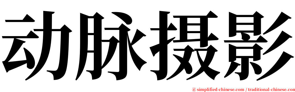动脉摄影 serif font