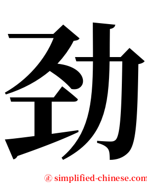 劲 serif font