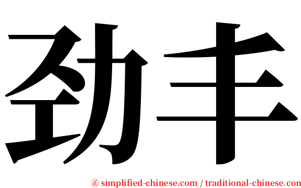 劲丰 serif font