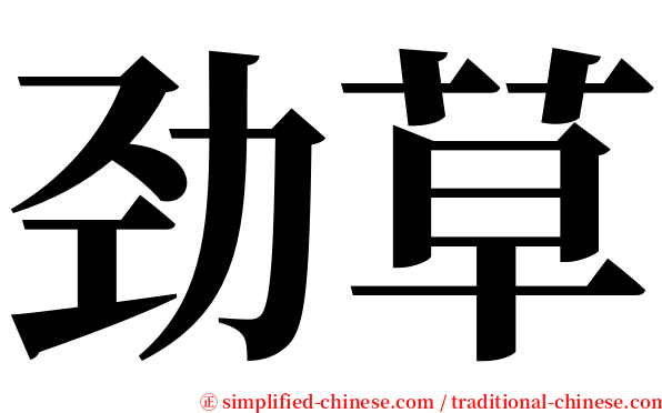 劲草 serif font