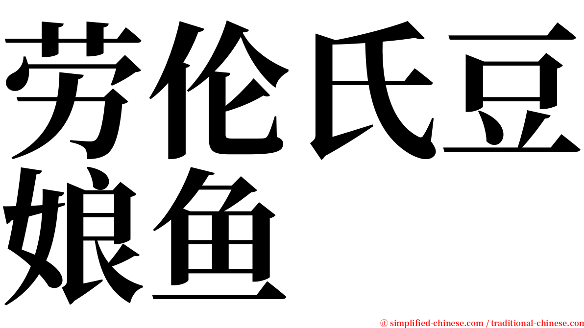 劳伦氏豆娘鱼 serif font
