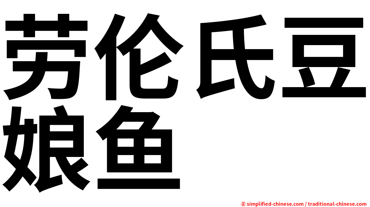 劳伦氏豆娘鱼