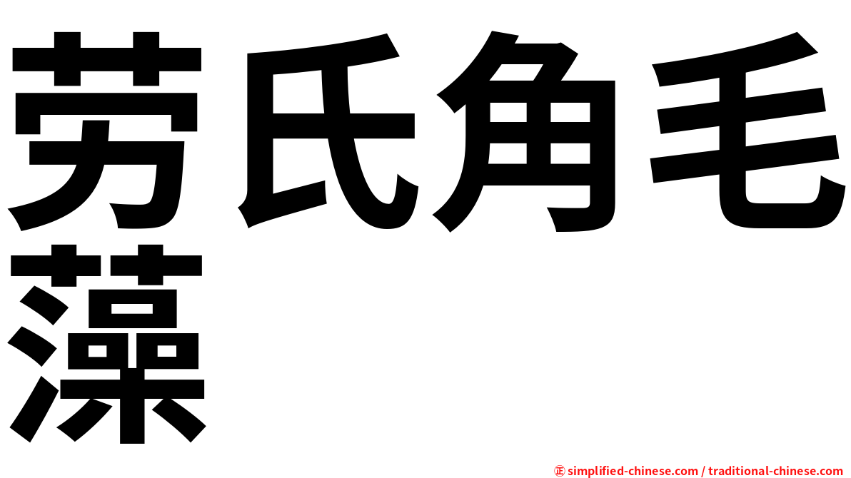 劳氏角毛藻