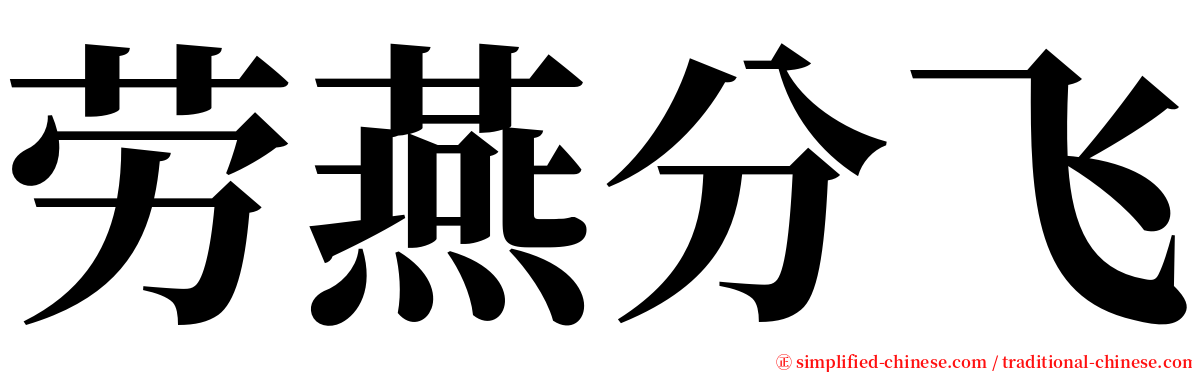 劳燕分飞 serif font
