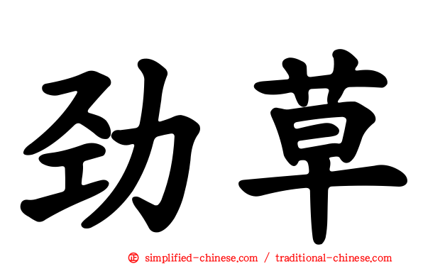 劲草