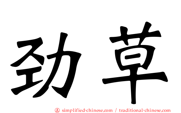 劲草