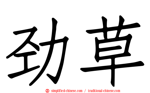 劲草