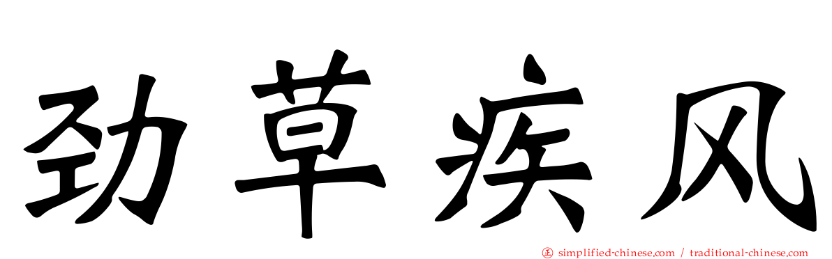 劲草疾风