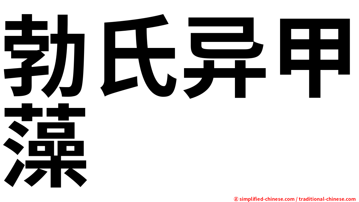 勃氏异甲藻