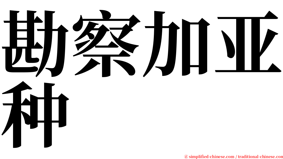 勘察加亚种 serif font