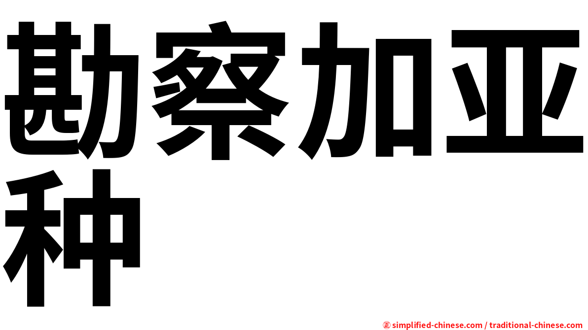 勘察加亚种