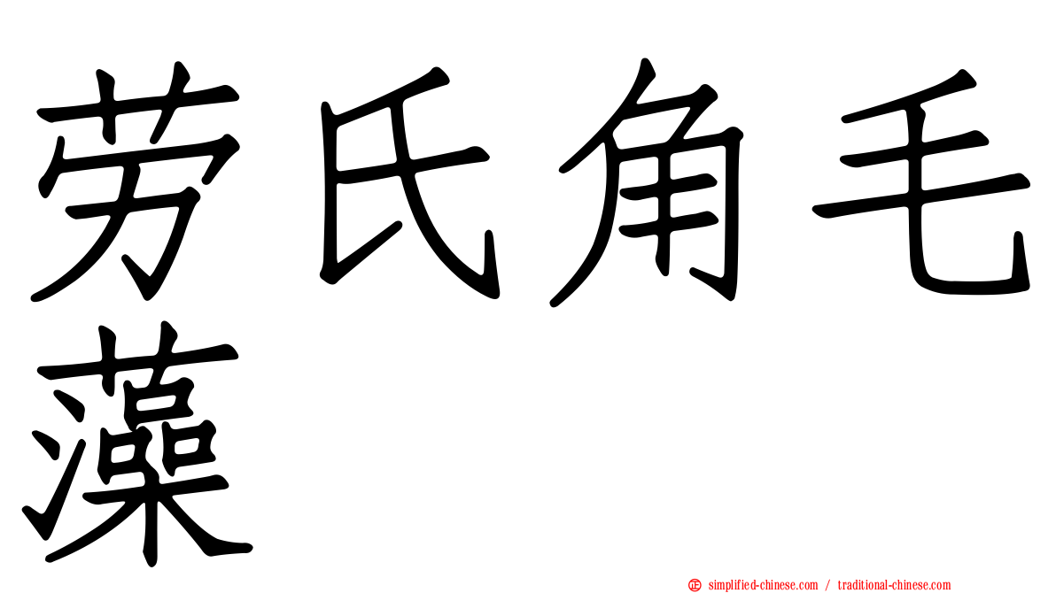 劳氏角毛藻