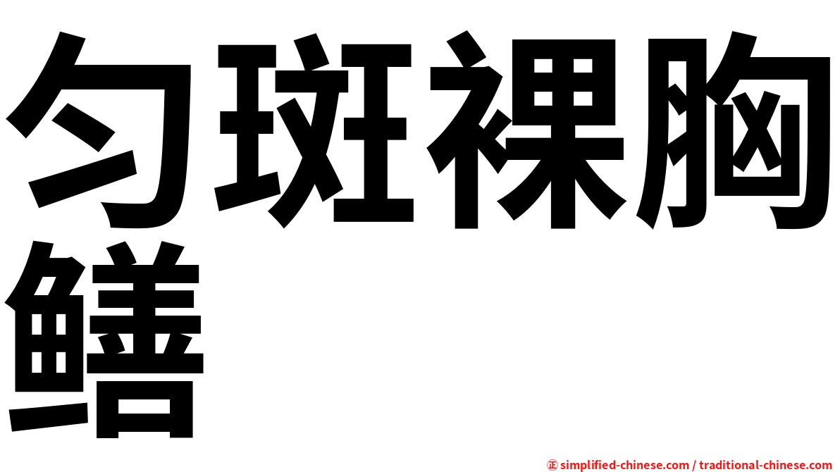匀斑裸胸鳝