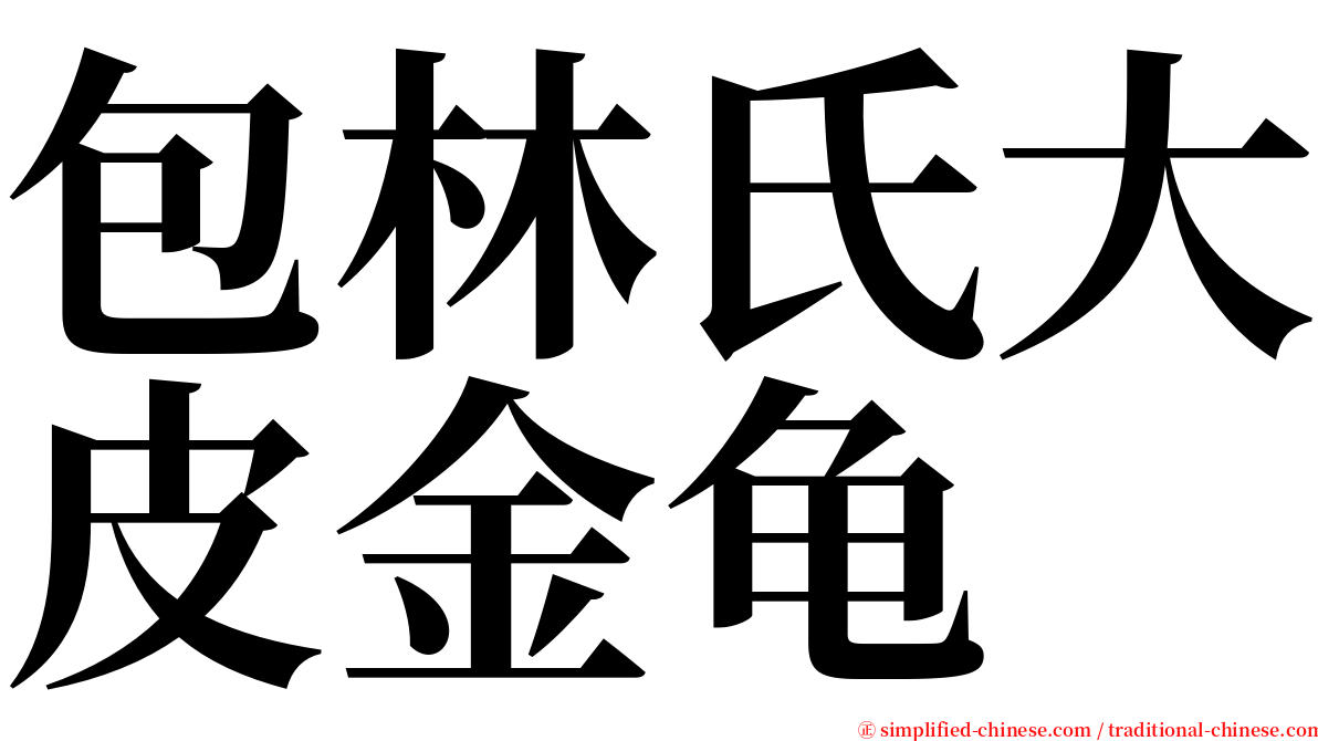 包林氏大皮金龟 serif font