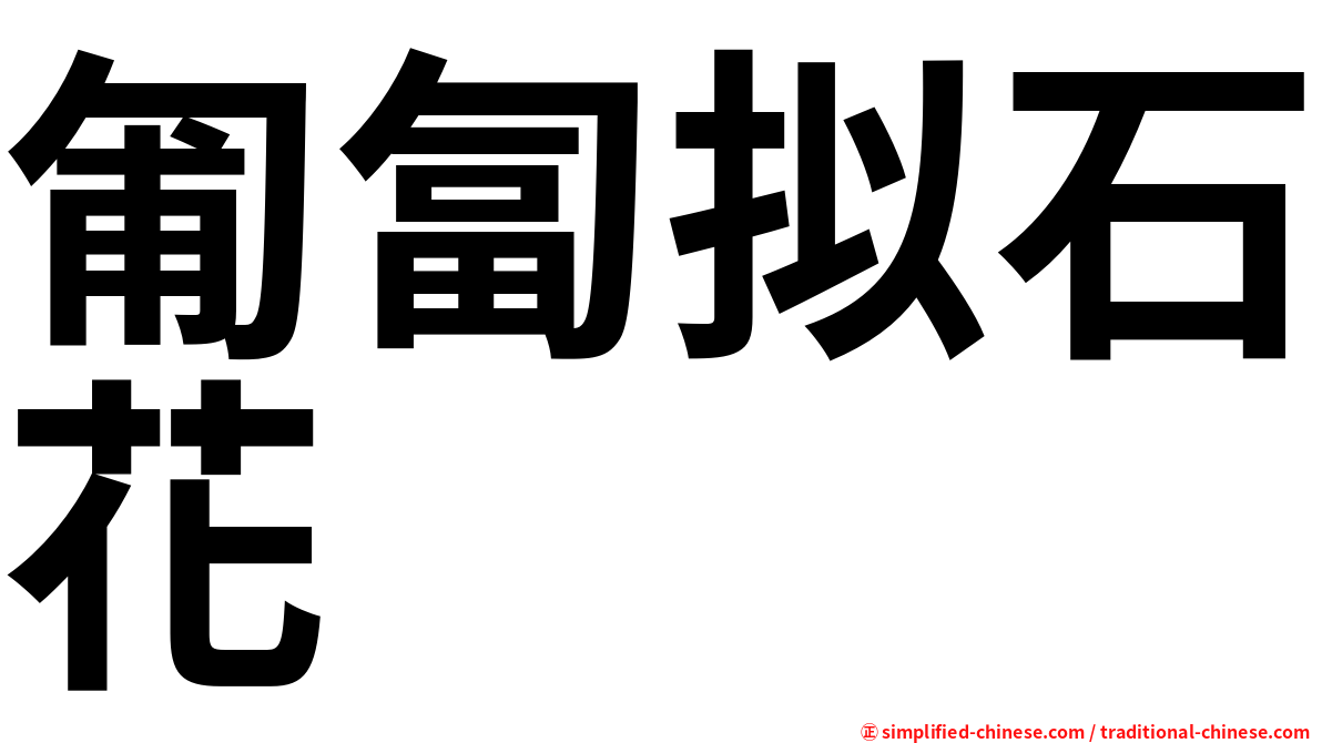 匍匐拟石花