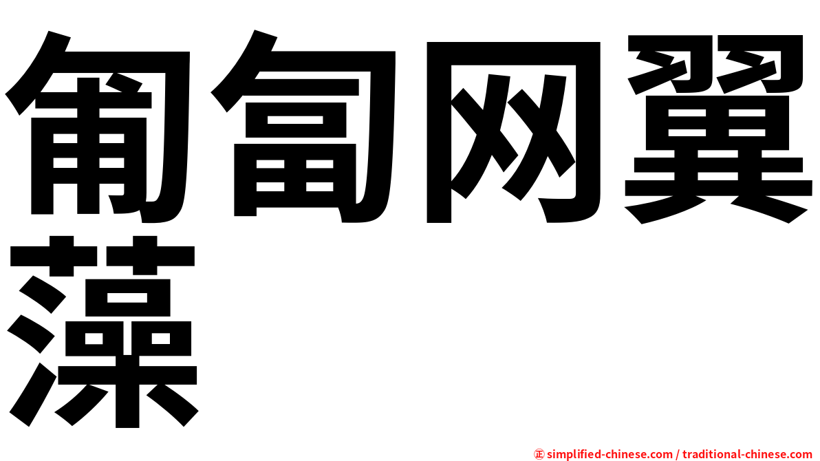 匍匐网翼藻
