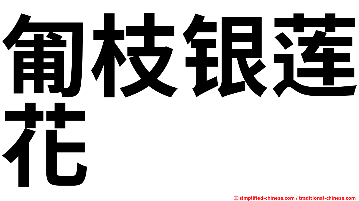 匍枝银莲花