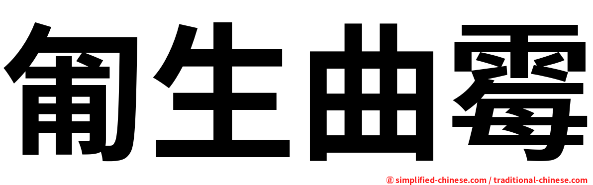 匍生曲霉