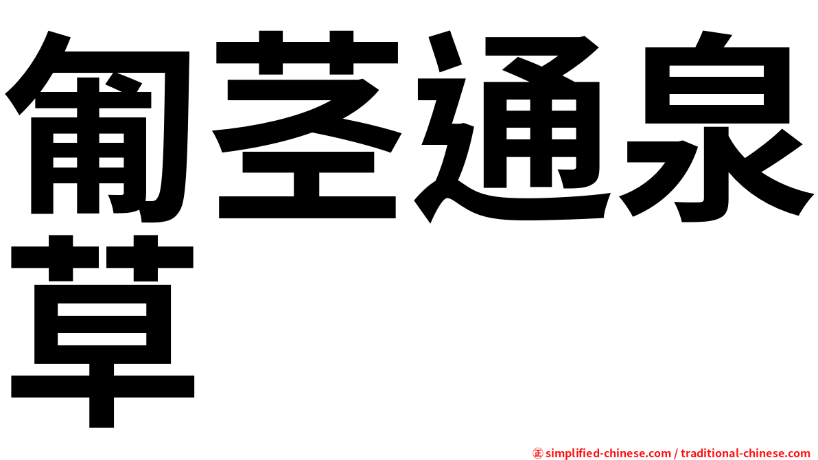 匍茎通泉草
