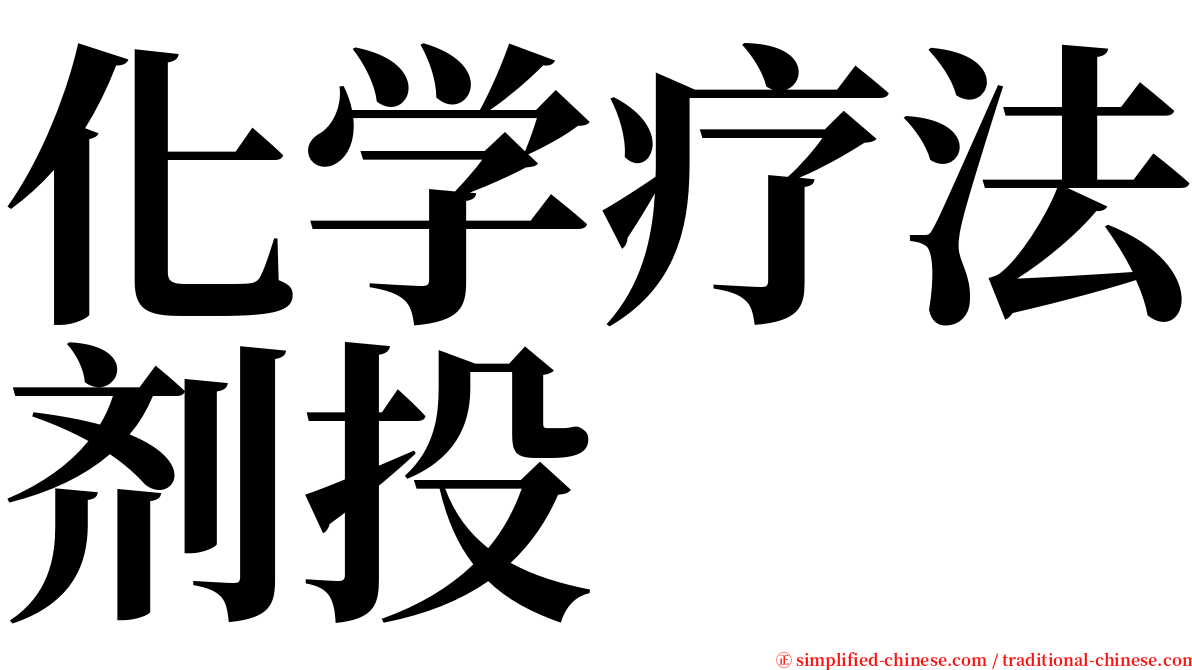 化学疗法剂投 serif font