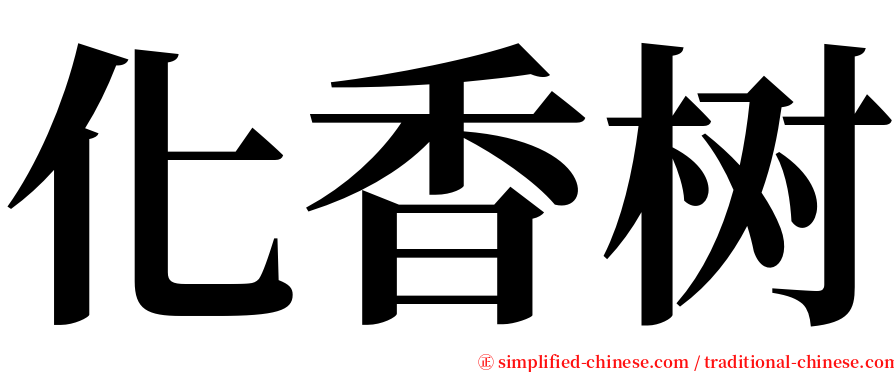 化香树 serif font