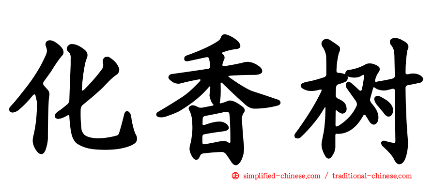 化香树
