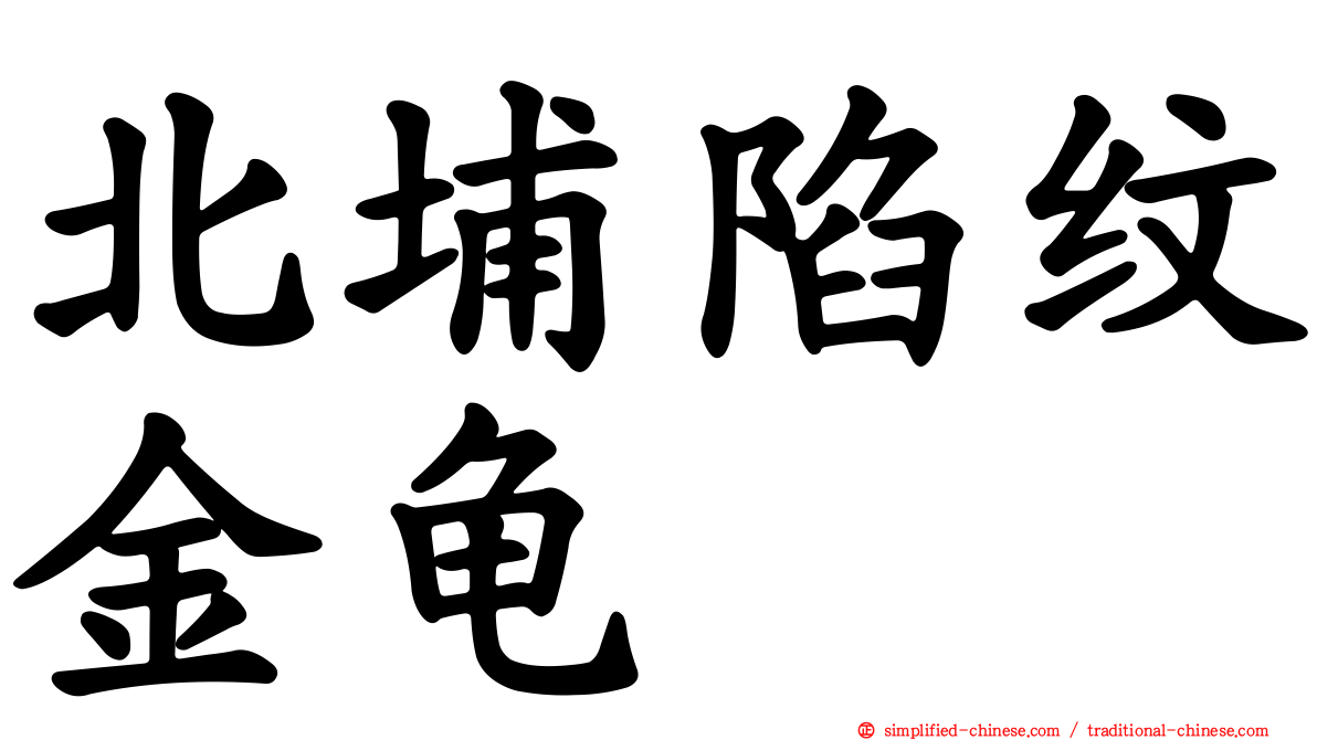 北埔陷纹金龟