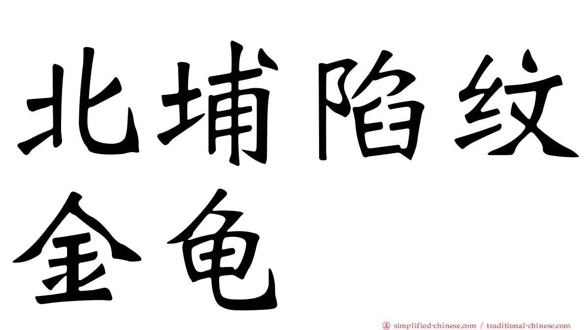北埔陷纹金龟