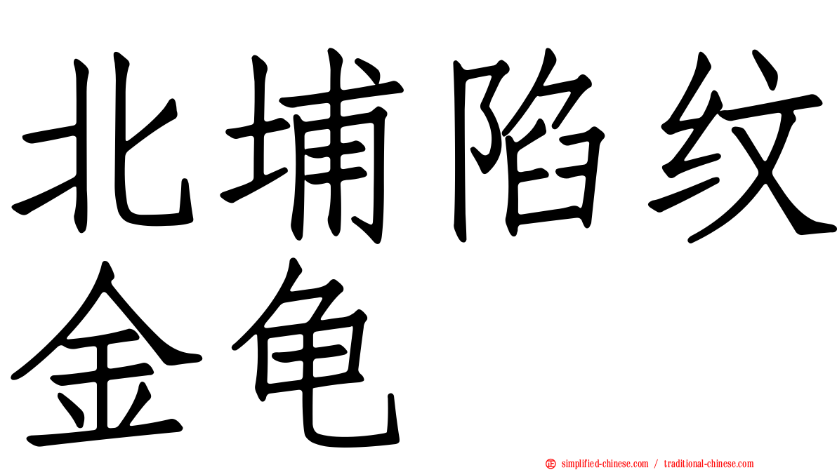 北埔陷纹金龟