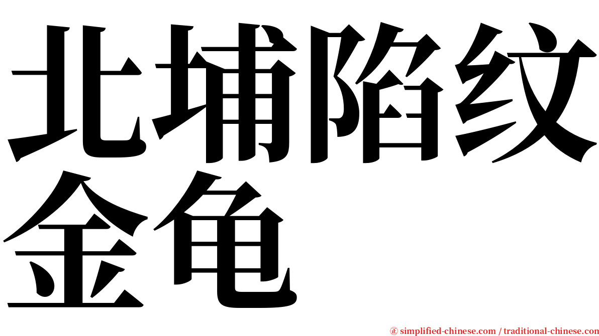 北埔陷纹金龟 serif font