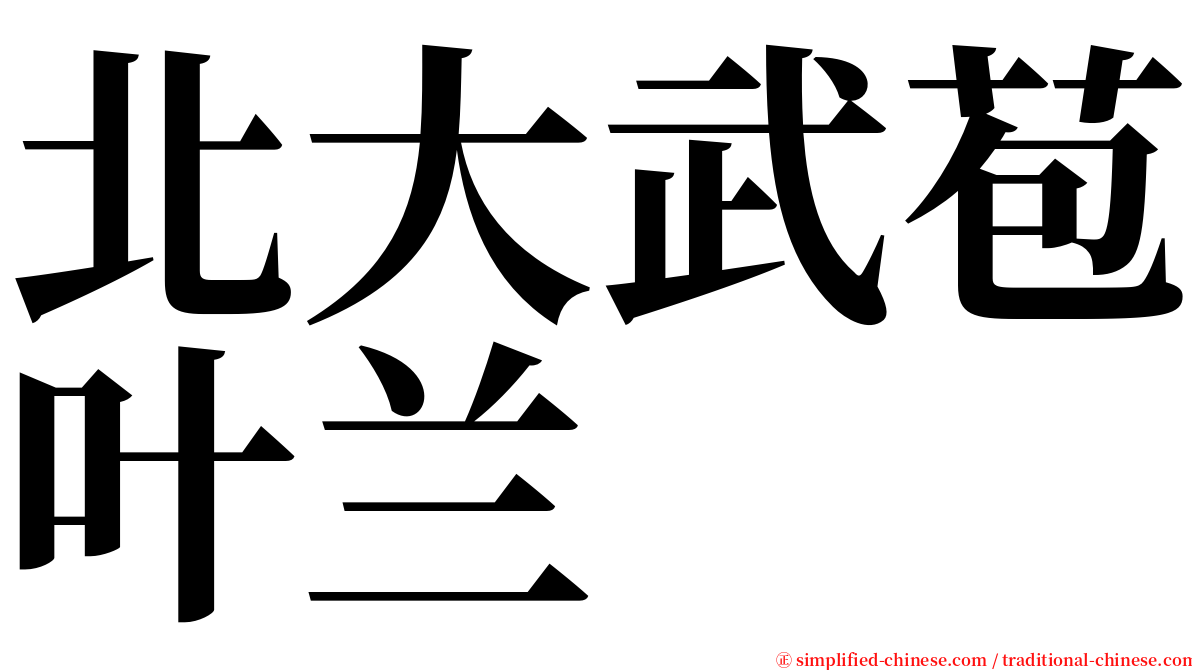 北大武苞叶兰 serif font