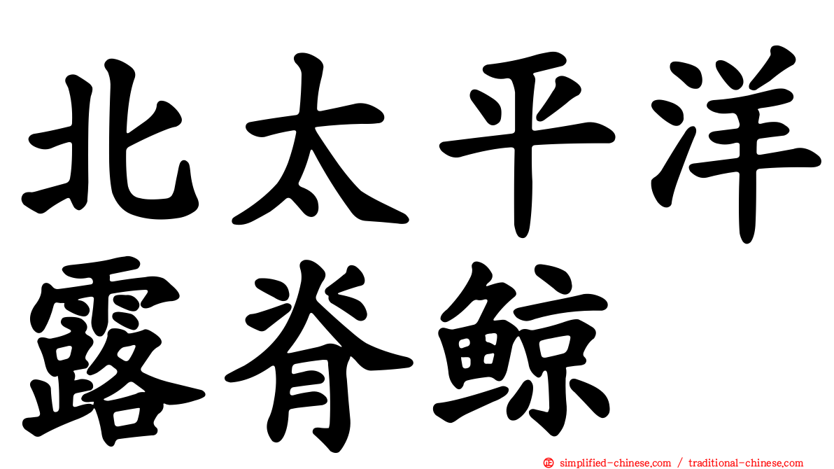 北太平洋露脊鲸
