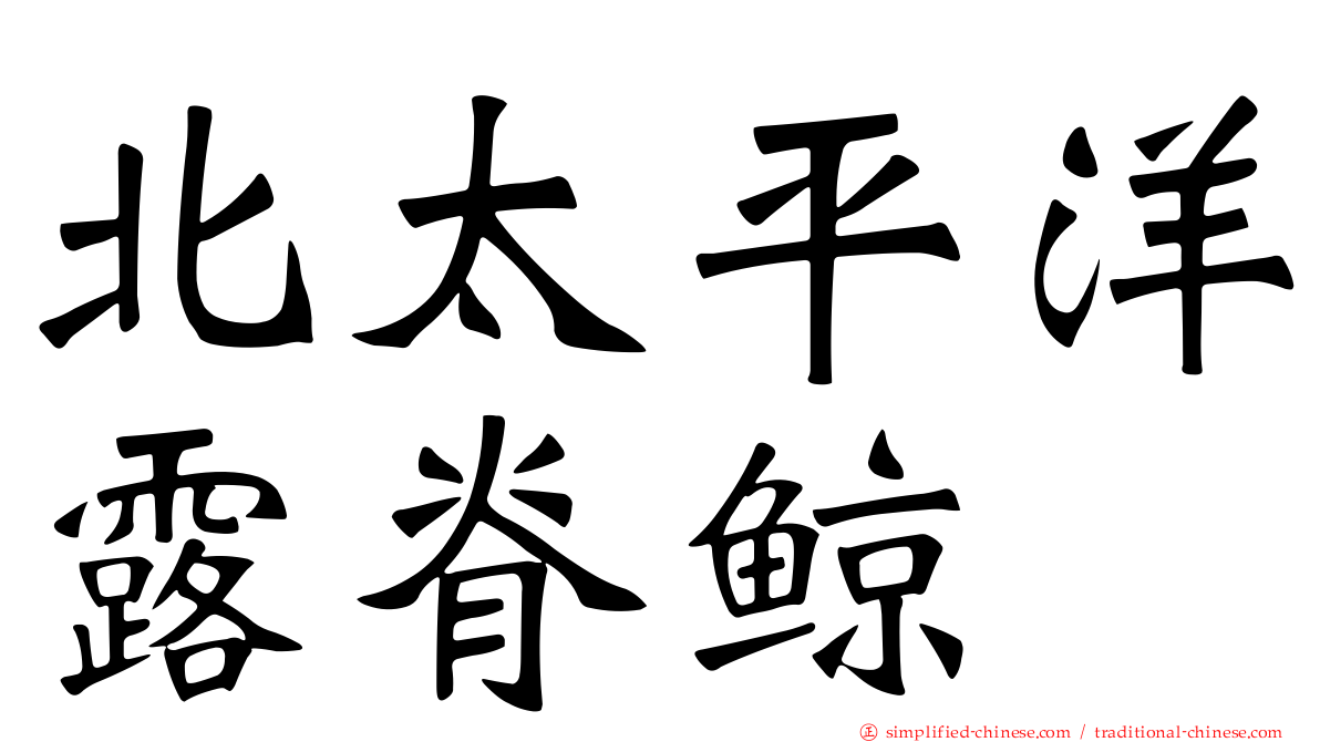 北太平洋露脊鲸