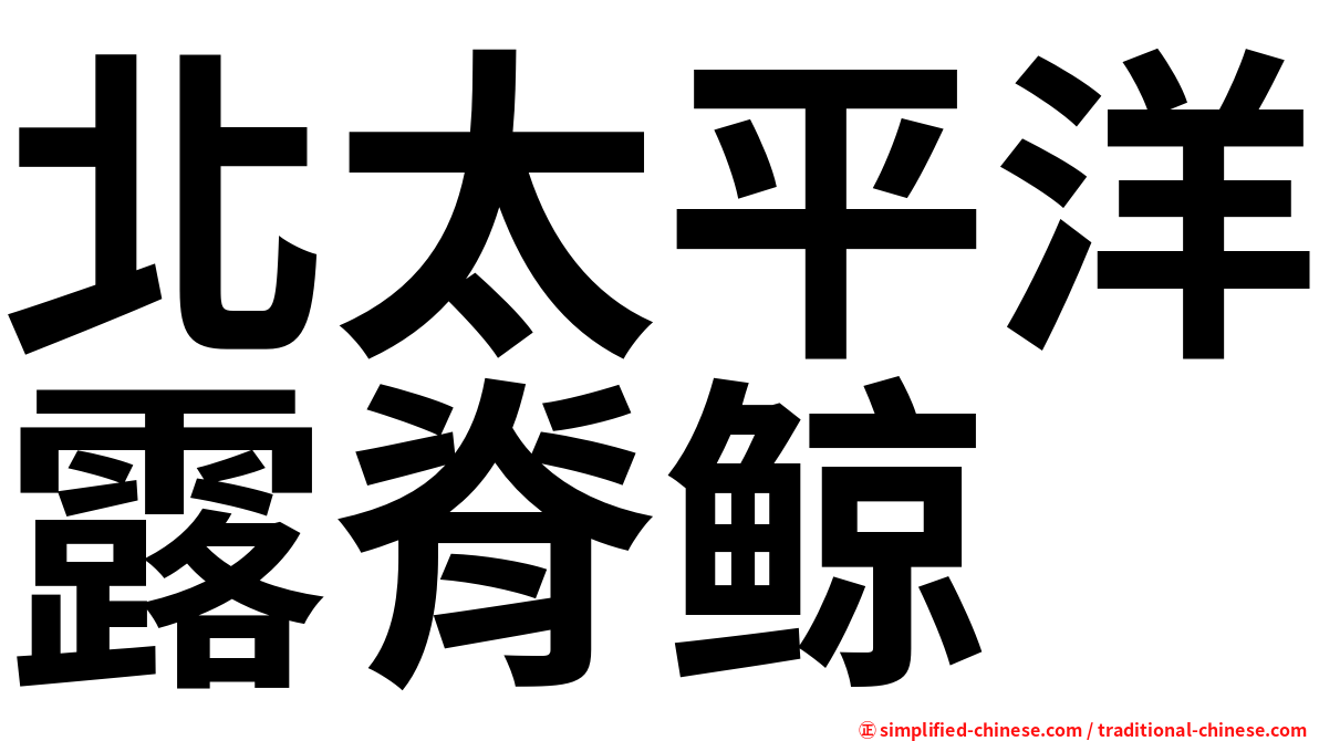 北太平洋露脊鲸