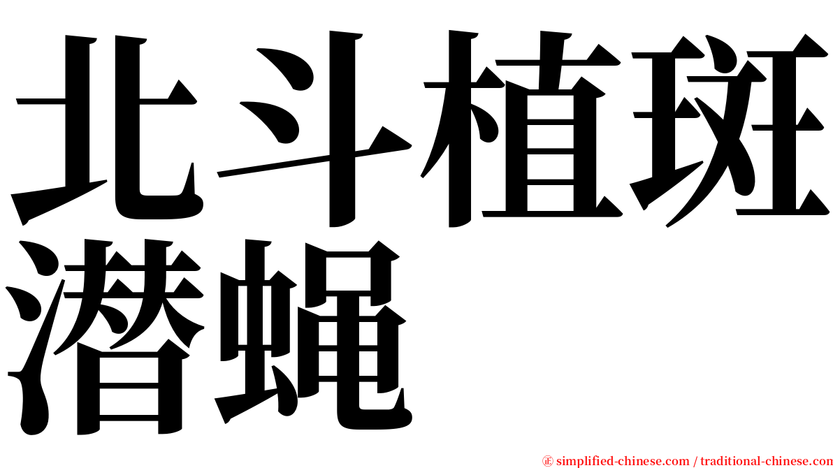 北斗植斑潜蝇 serif font