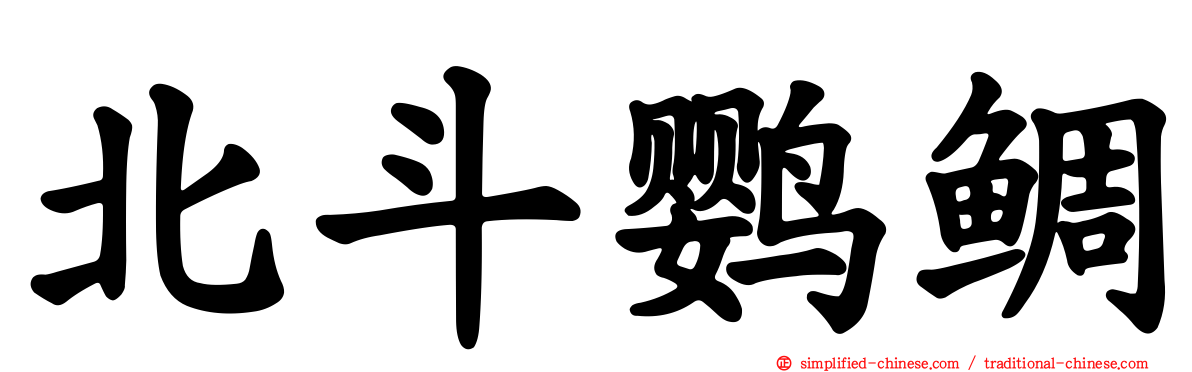 北斗鹦鲷