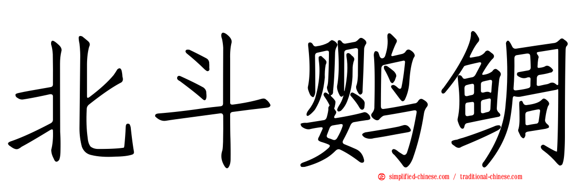 北斗鹦鲷
