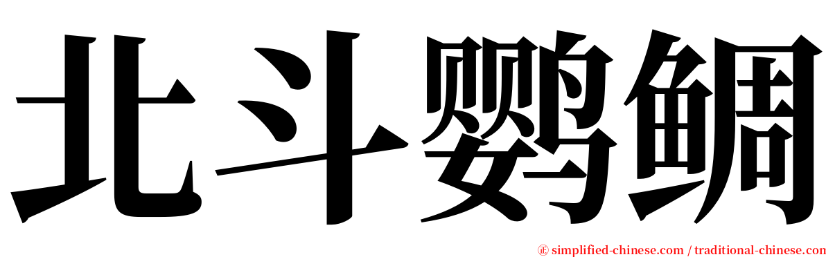 北斗鹦鲷 serif font
