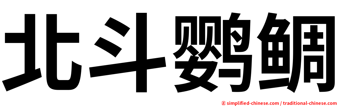 北斗鹦鲷
