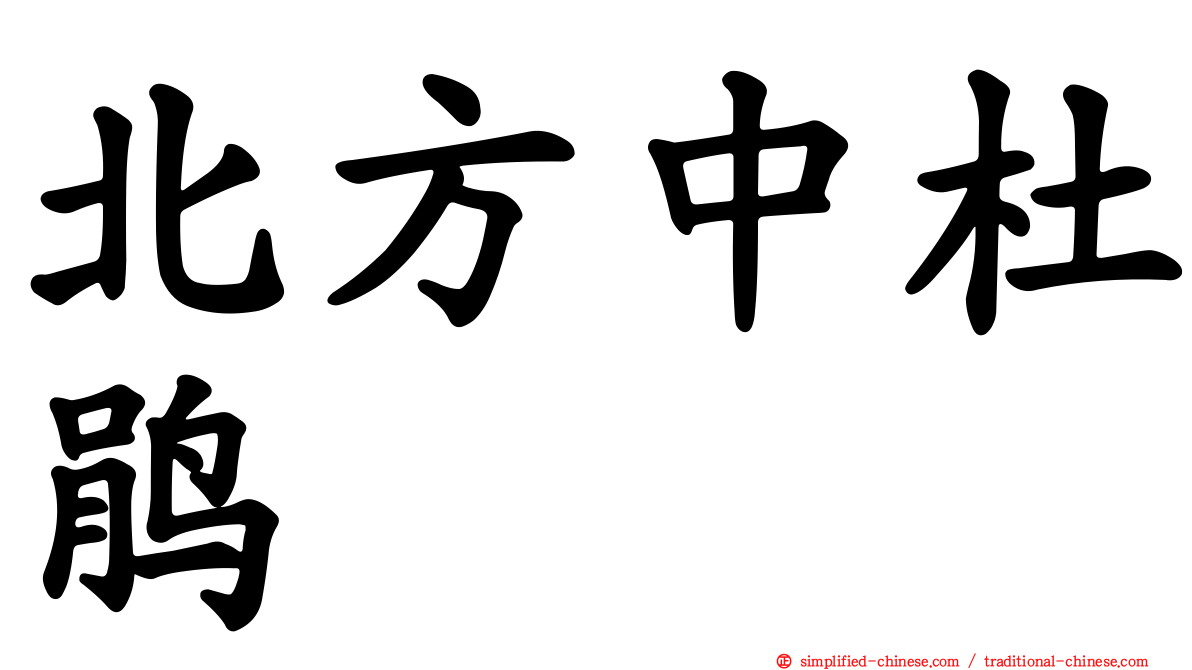 北方中杜鹃