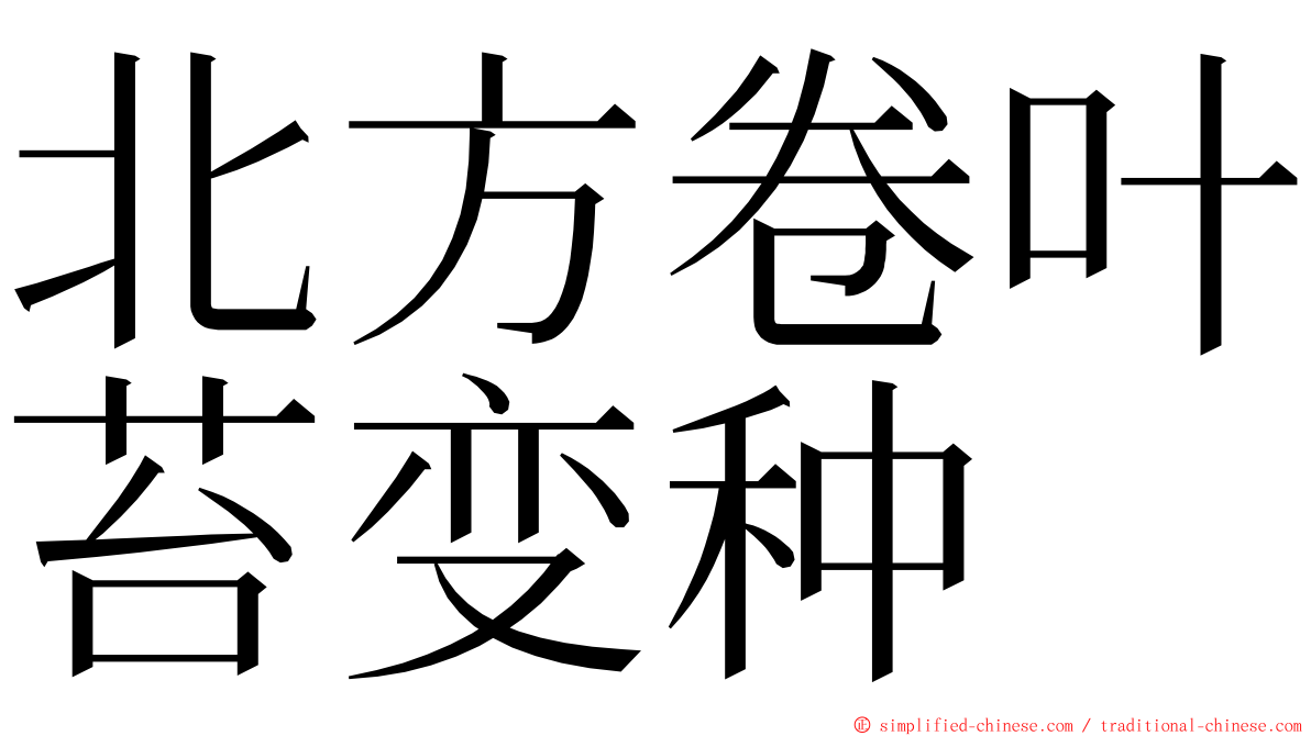 北方卷叶苔变种 ming font