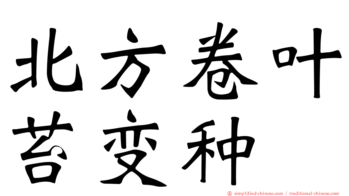北方卷叶苔变种