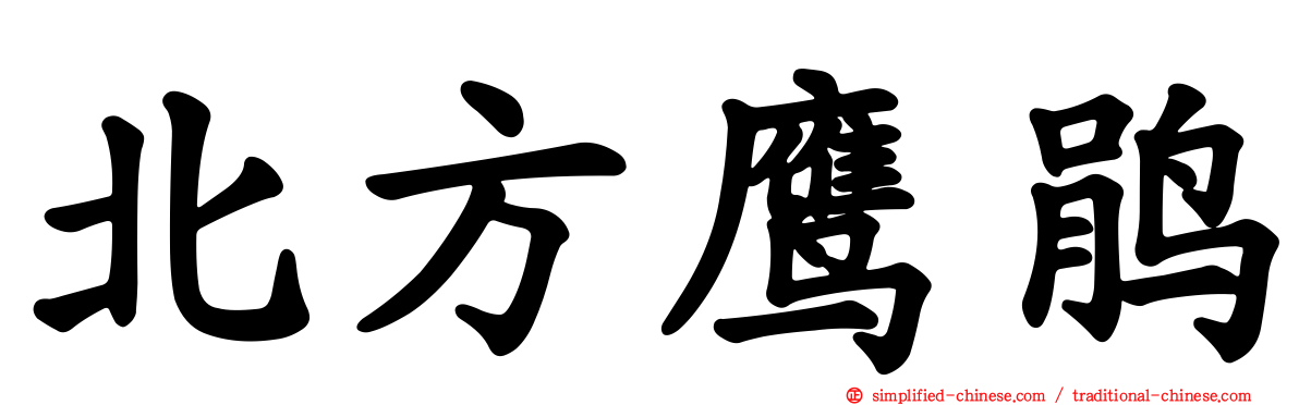 北方鹰鹃