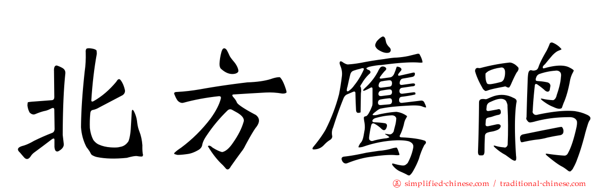 北方鹰鹃