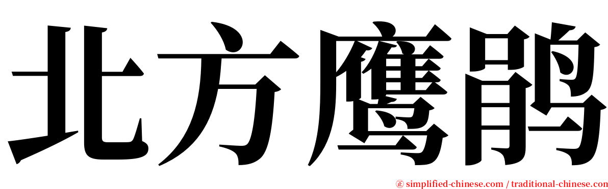 北方鹰鹃 serif font